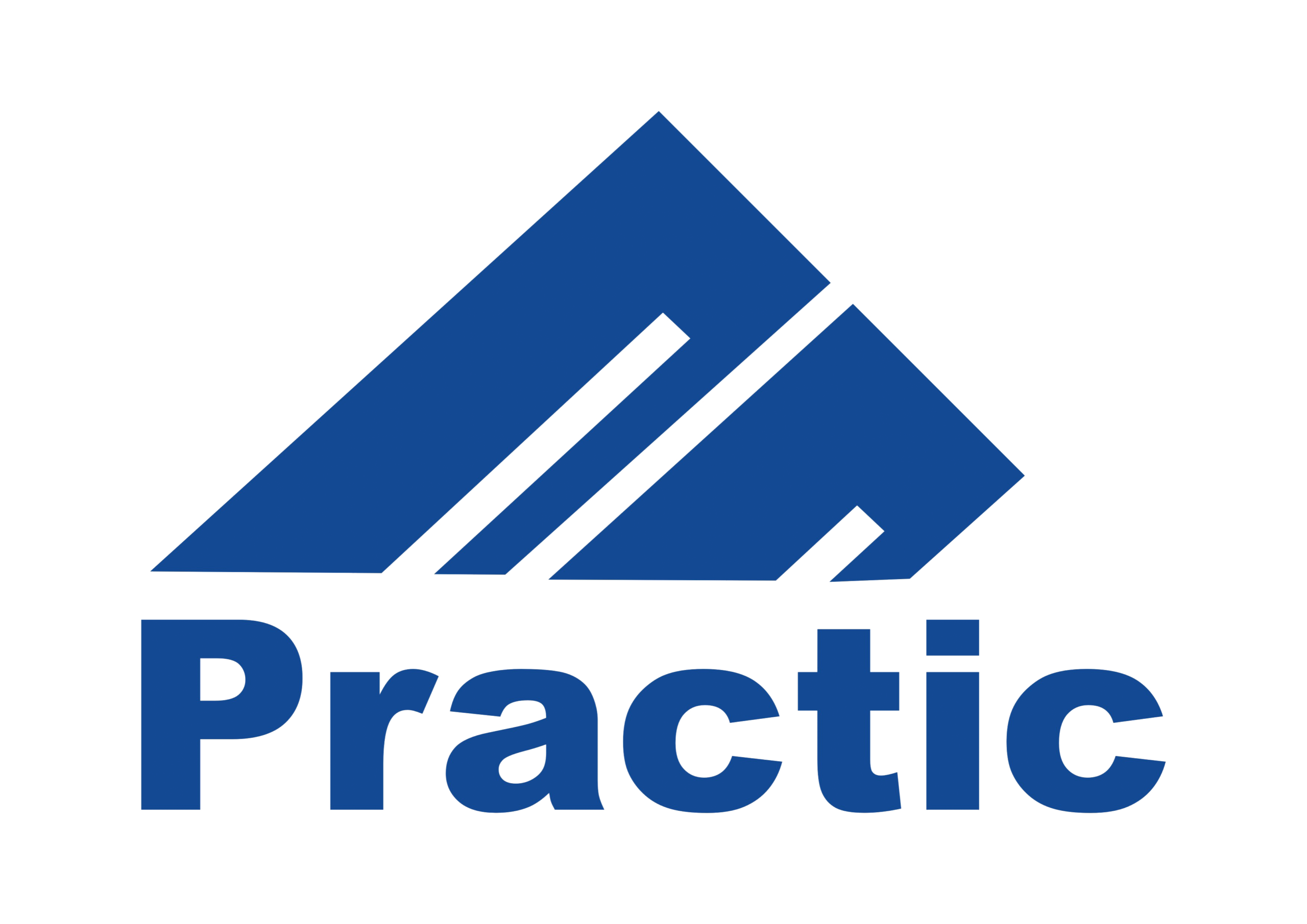 practic logo без фону